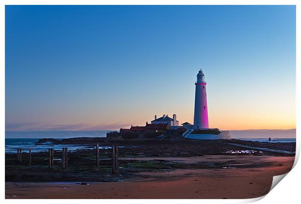St Marys Lighthouse in Pink Print by Kevin Tate