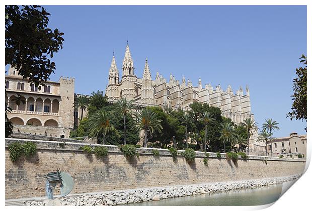 Palma Cathedral Print by Kevin Tate