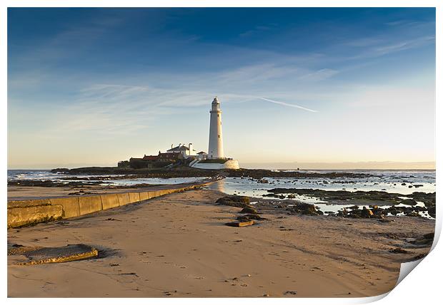 St Marys Lighthouse Print by Kevin Tate