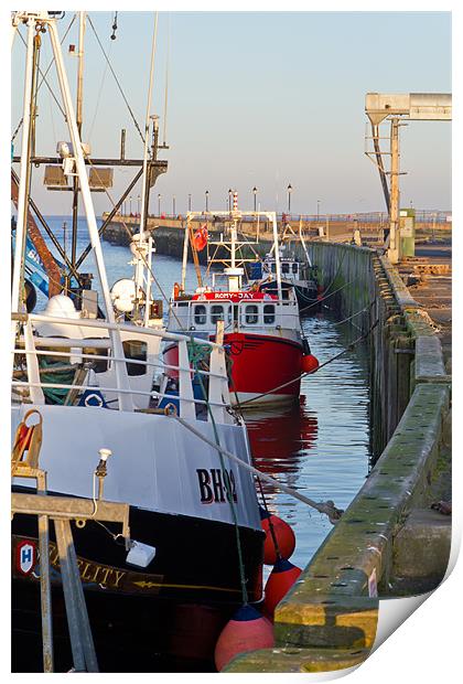 Amble Fishing Boats Print by Kevin Tate