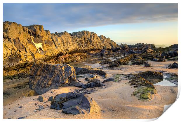 Stag Rock,Bamburgh Print by Kevin Tate