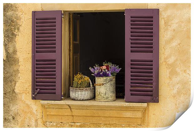 Rustic window Print by Kevin Tate