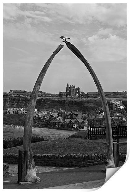 whitby whale bones Print by Northeast Images