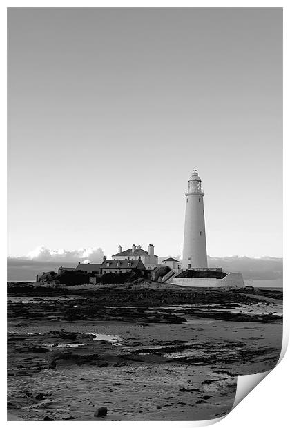 St Mary`s Lighthouse b&w. Print by Northeast Images