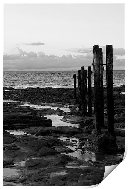 st mary`s groyne b&w. Print by Northeast Images