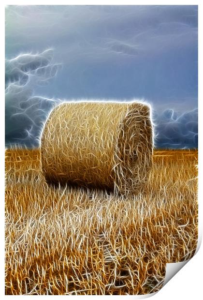 hay bale Print by Northeast Images