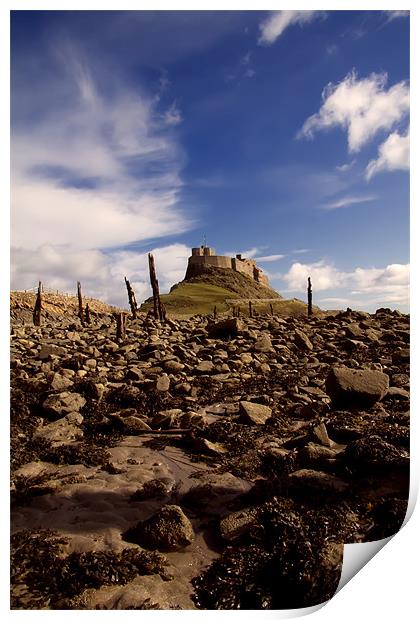 Lindisfarne castle Print by Northeast Images