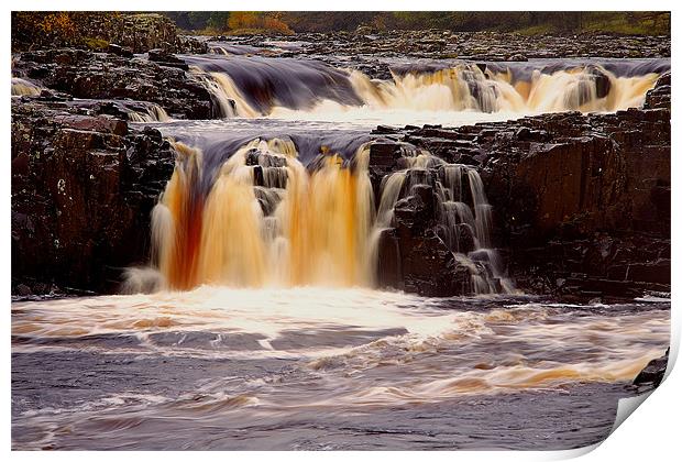low force Print by Northeast Images