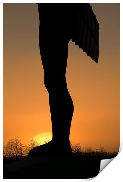 Angel Sunset Print by Northeast Images