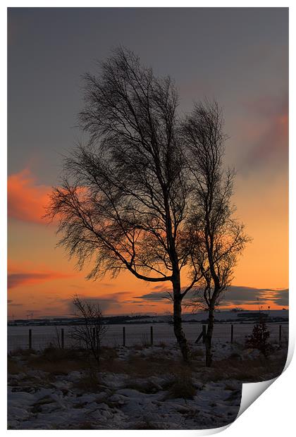 wintry sunset Print by Northeast Images