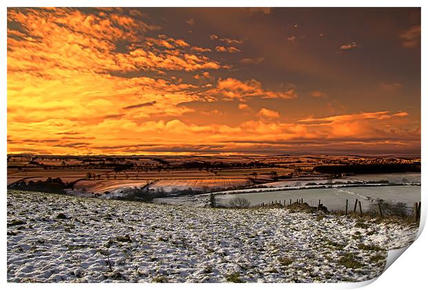 snowy field sunrise Print by Northeast Images