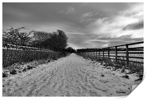 snowy path Print by Northeast Images