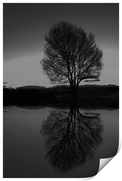 winter reflections Print by Northeast Images
