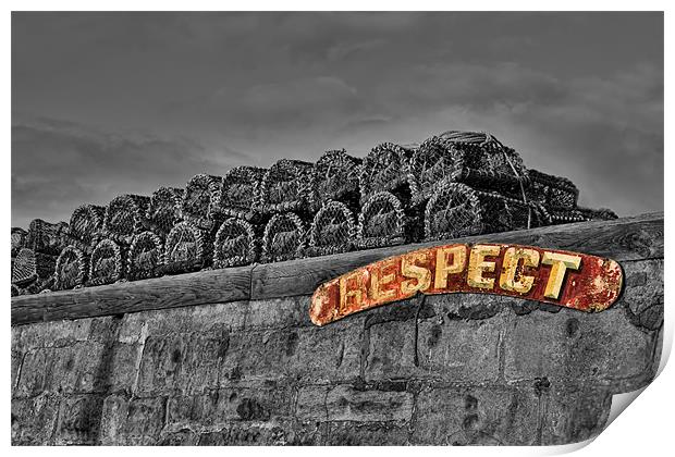A Little Respect Print by Northeast Images