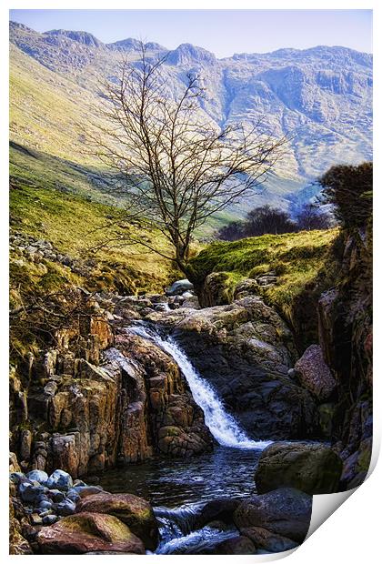 stockley view Print by Northeast Images