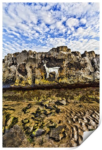 Stag Rock Print by Northeast Images