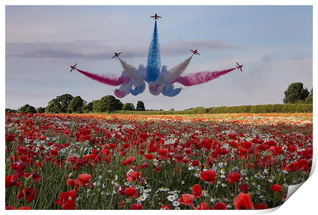 Red Arrows Print by Northeast Images