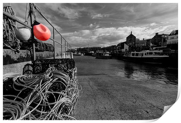 Seahouses Harbour Print by Northeast Images