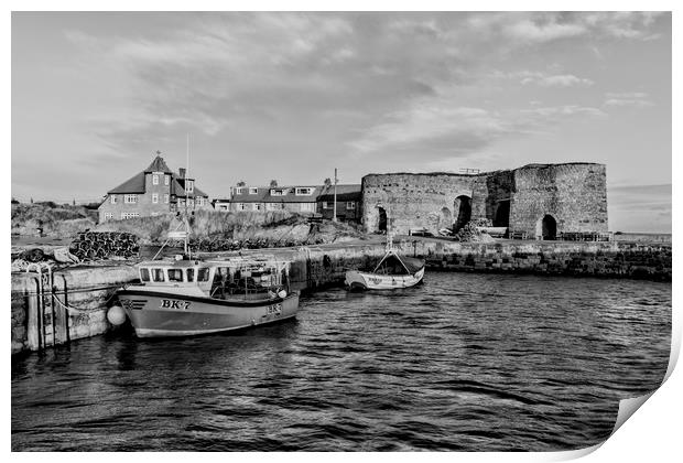 Beadnell Print by Northeast Images