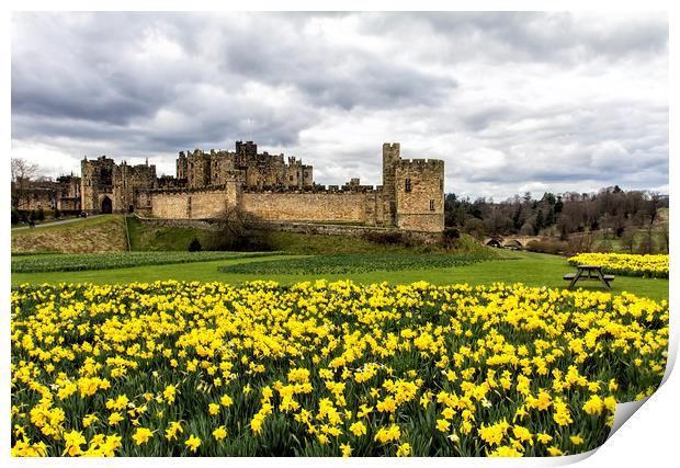 Alnwick Castle Print by Northeast Images