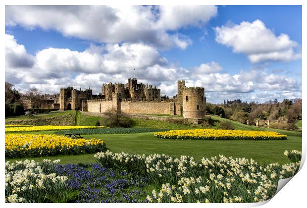 Alnwick Castle Print by Northeast Images