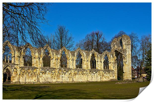 Ruins of St Mary's Abbey - York Print by Trevor Kersley RIP