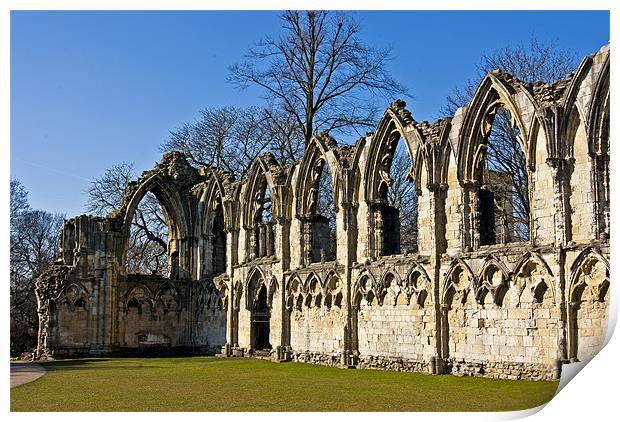 St Mary's Abbey Ruins Print by Trevor Kersley RIP