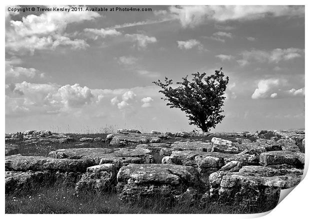 Limestone Pavement ~ Malham Print by Trevor Kersley RIP