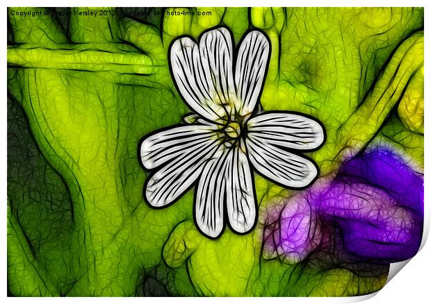 Wild Flowers - Stitchwort Print by Trevor Kersley RIP
