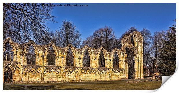 Ruins of St Marys Abbey Print by Trevor Kersley RIP
