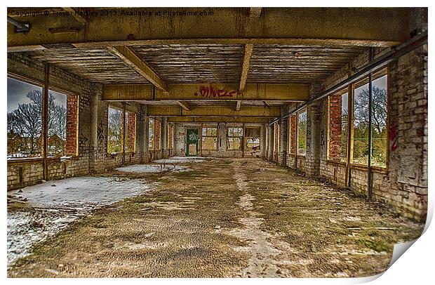 Abandonded and Empty Print by Trevor Kersley RIP