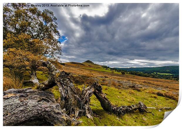 North Yorks Moors Print by Trevor Kersley RIP