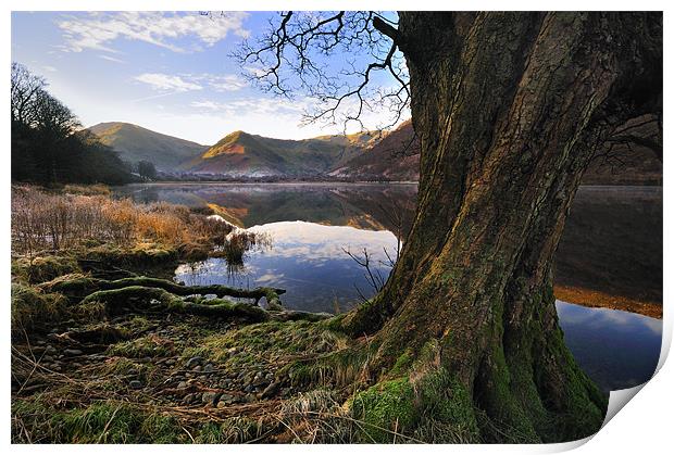 Views Of Brotherswater Print by Jason Connolly