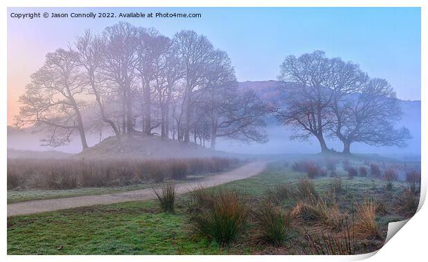 Misty Morning Trees At Elterwater Print by Jason Connolly
