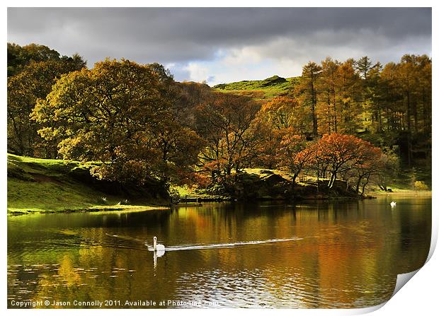 Loughrigg Tarn Reflections Print by Jason Connolly