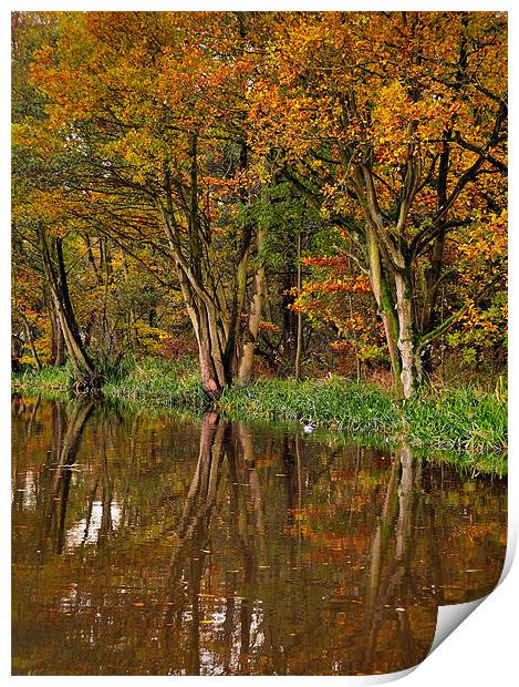 Autumnal Reflections Print by Jason Connolly