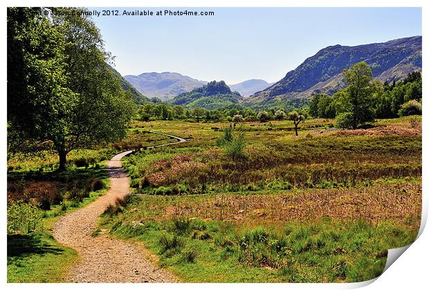 Into The Jaws Of Borrowdale Print by Jason Connolly