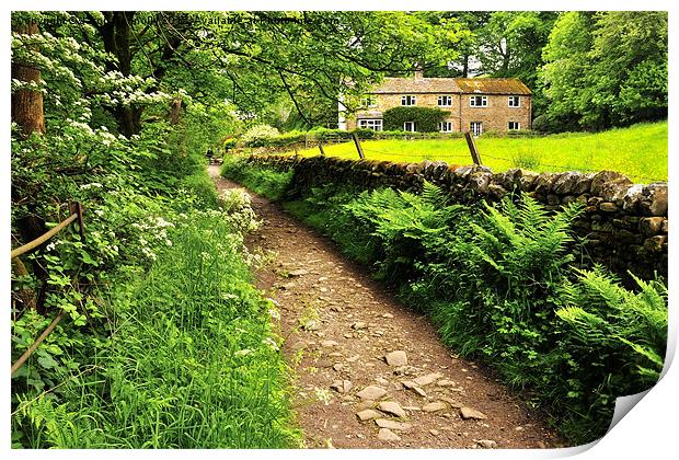 Pathway To Pendle Print by Jason Connolly