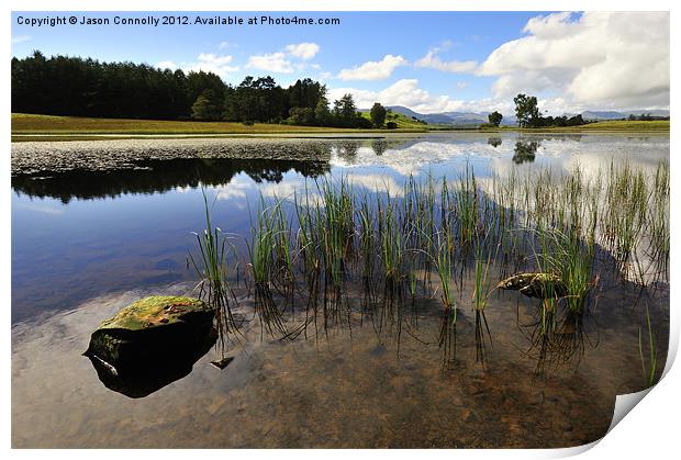 Wise Een tarn Print by Jason Connolly