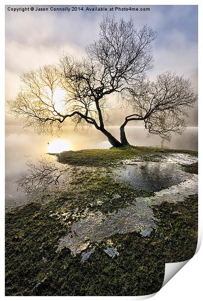  Ullswater Tree Print by Jason Connolly