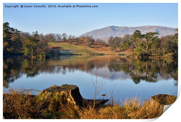 Tarn Hows, Lake District Print by Jason Connolly