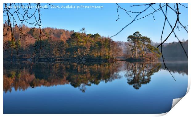 Tarn Hows, Lake District Print by Jason Connolly