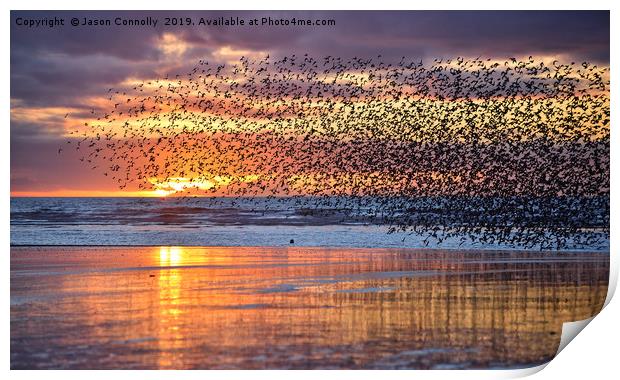 Starlings At Sunset Print by Jason Connolly