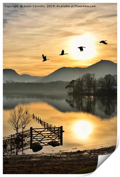 Geese In The Golden Hour. Print by Jason Connolly