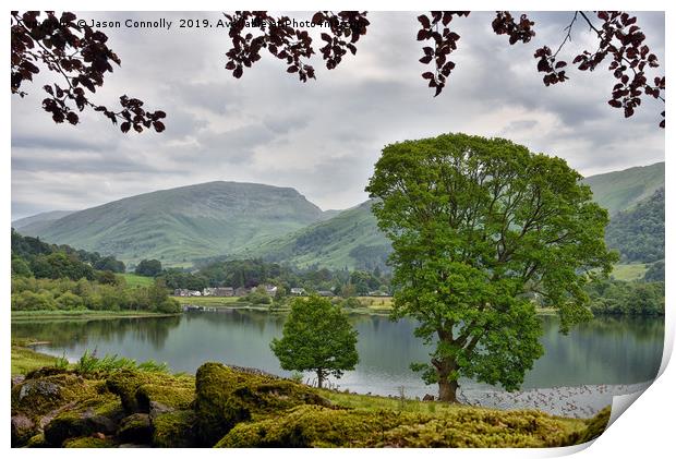 Views Over Grasmere Print by Jason Connolly