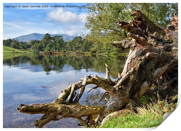 Tarn Hows, Cumbria. Print by Jason Connolly