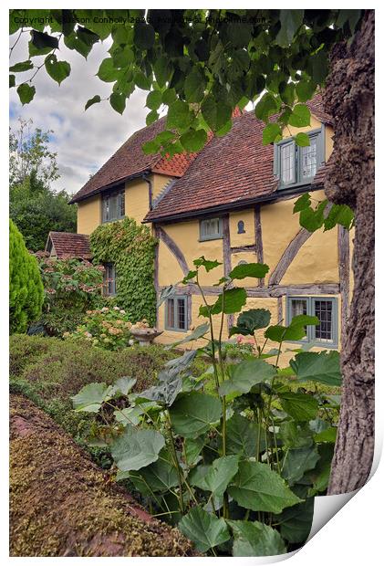 Lime Cottage, Shere Village. Print by Jason Connolly