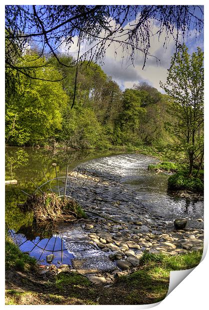 Powies Weir Print by Tom Gomez