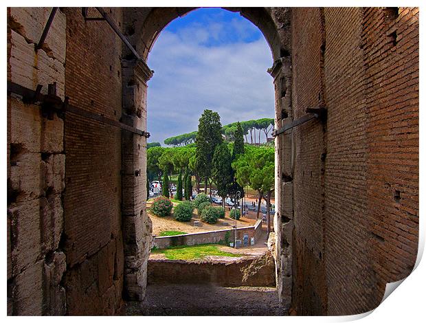 View from the Colosseum Print by Tom Gomez