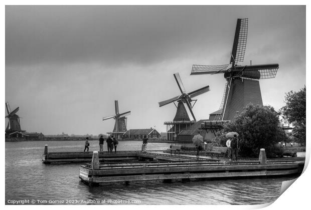 Windmills on the River Zaan B&W Print by Tom Gomez